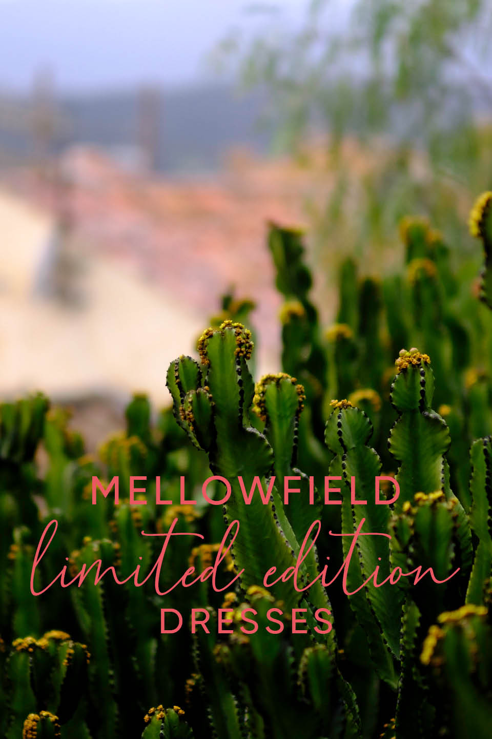 Live shopping på vic.no