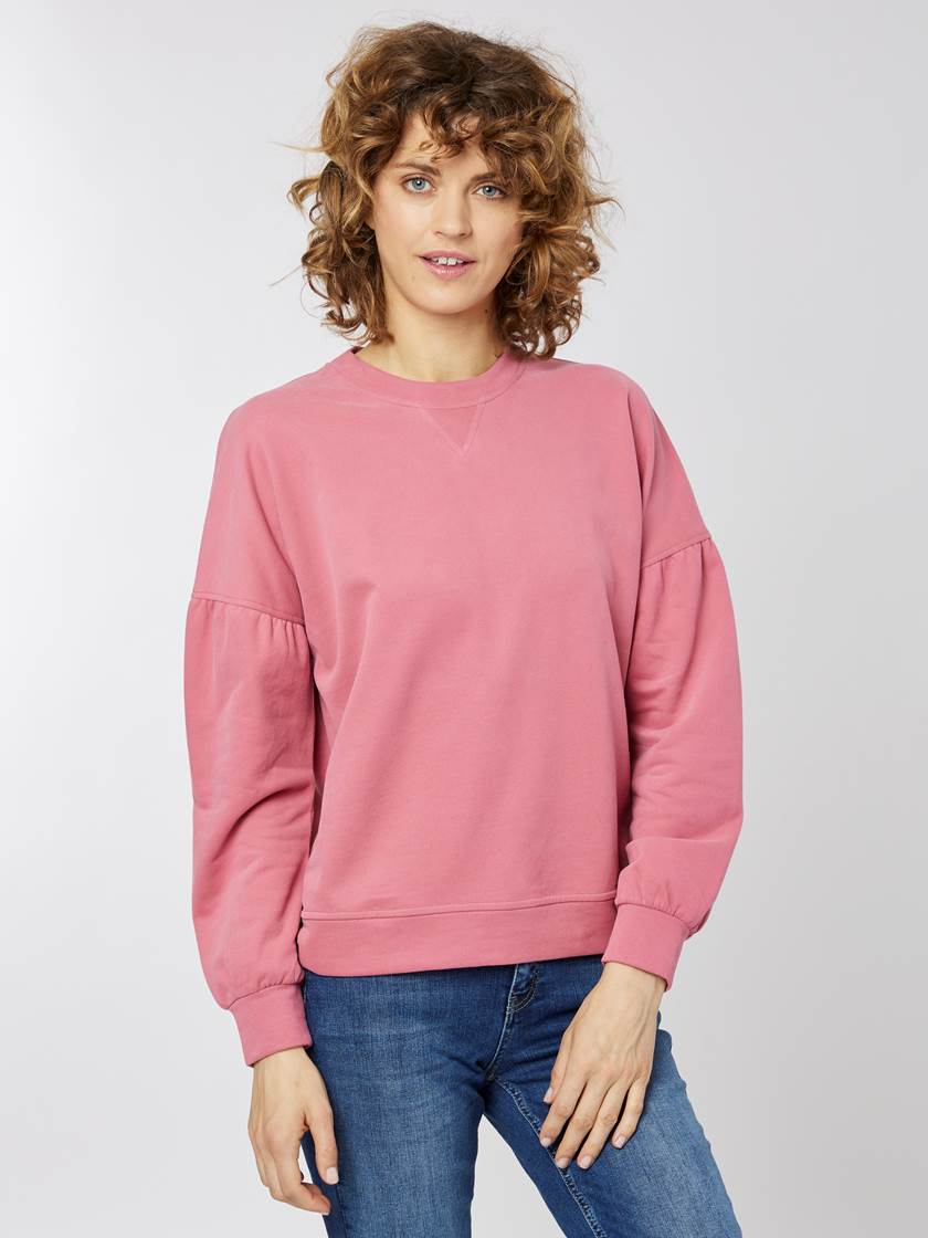 Linda genser MSL