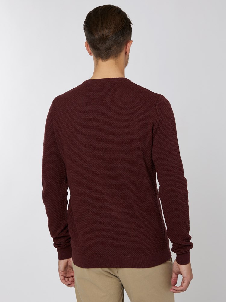Theo genser 7501234_AJI-VESB-A22-Modell-Back_chn=vic_6233.jpg_Back||Back