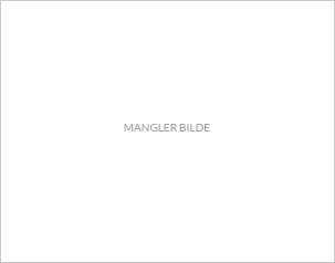 Marley t-skjorte MOI