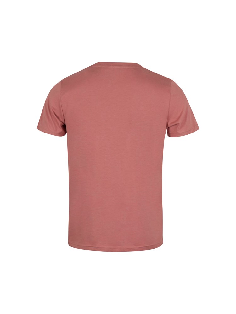 Ryan t-skjorte 7503471_AHL-VESB-S23-Modell-Back_chn=vic_4026.jpg_Back||Back