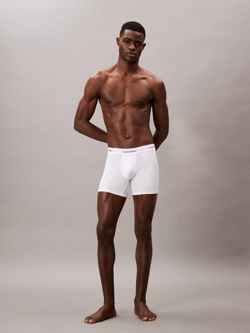 7253577 O68 Calvin-Klein_009999_100_LV00NB4394100_2_Boxer Brief 3Pk O68.jpg_