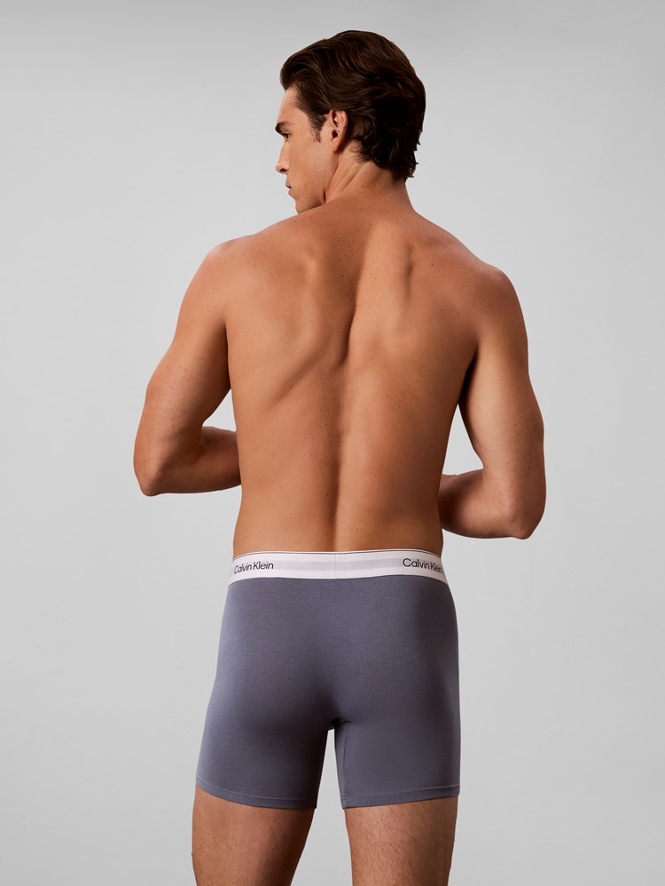Boxer Brief 3Pk Calvin-Klein_FA2026_X2V_LV00NB4848X2V_3_Boxer Brief 3Pk EOV.jpg_