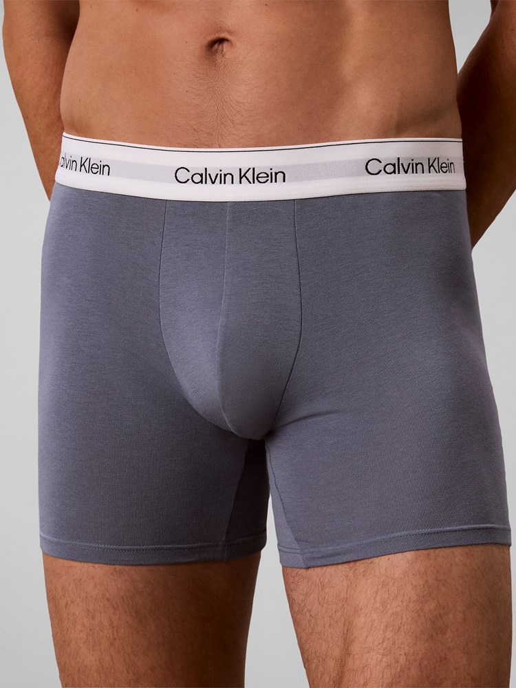 Boxer Brief 3Pk Calvin-Klein_FA2026_X2V_LV00NB4848X2V_4_Boxer Brief 3Pk EOV.jpg_