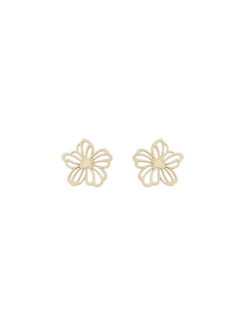 7253898 Q1G Flora daisy ear g 1 7253898 Q1G_Flora Daisy Ear Q1G.jpg_