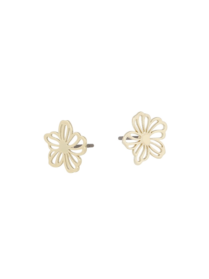 7253898 Q1G Flora daisy ear g 2 7253898 Q1G_Flora Daisy Ear Q1G.jpg_